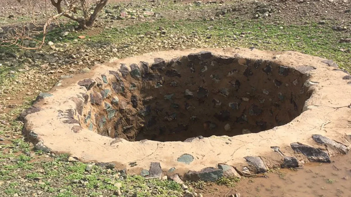 طفلان ينجوان من الموت بعد سقوطهما في بئر مهجورة بزاكورة