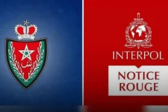 Recherché à l'international
