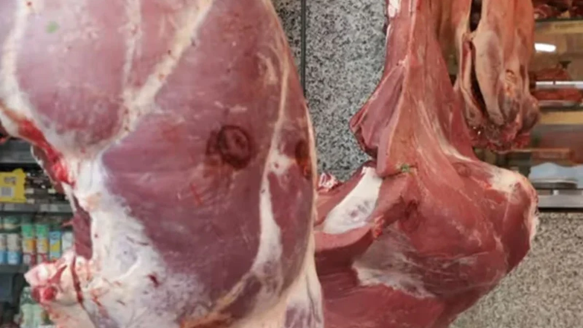 أسعار اللحوم الحمراء تواصل التحليق عاليا بعد عيد الأضحى.. هل تتجه نحو مزيد من الارتفاع؟ 