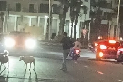 أكادير باي تحت ضغط الفوضى.. نداء لحماية محيط الثانوية الفرنسية