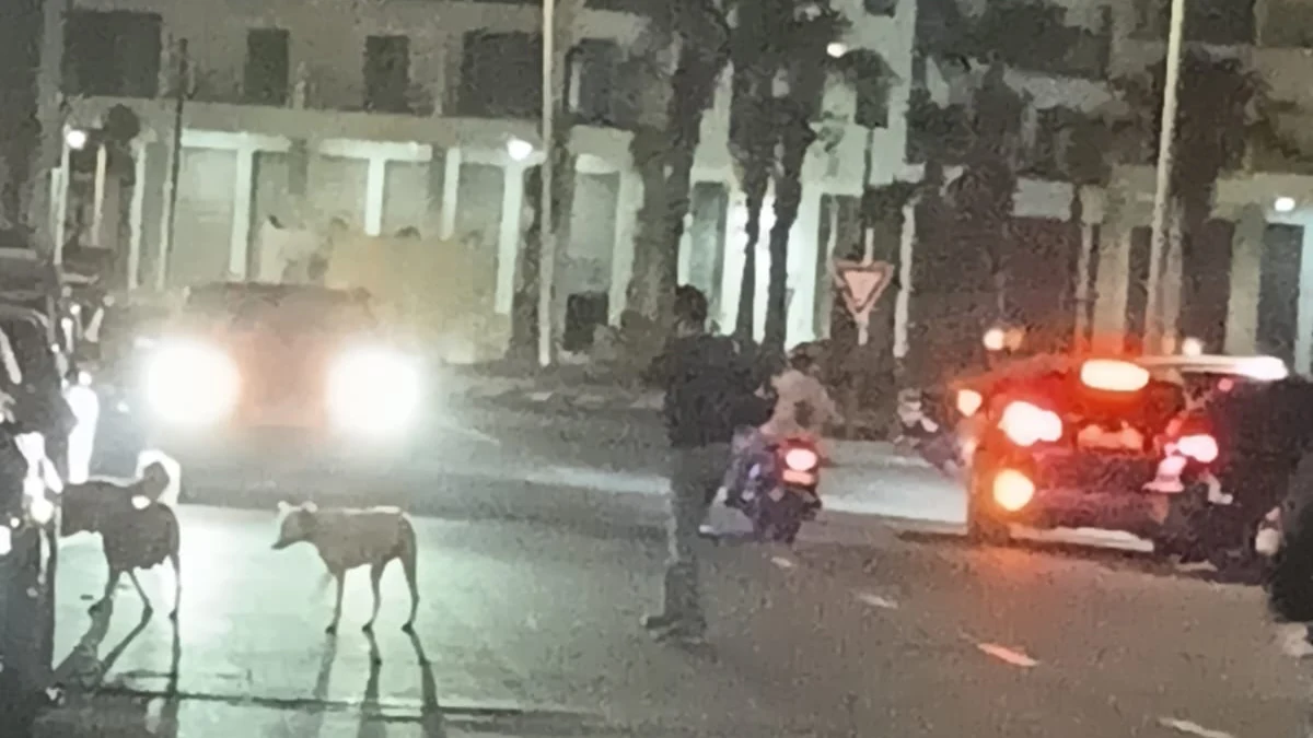 أكادير باي تحت ضغط الفوضى.. نداء لحماية محيط الثانوية الفرنسية