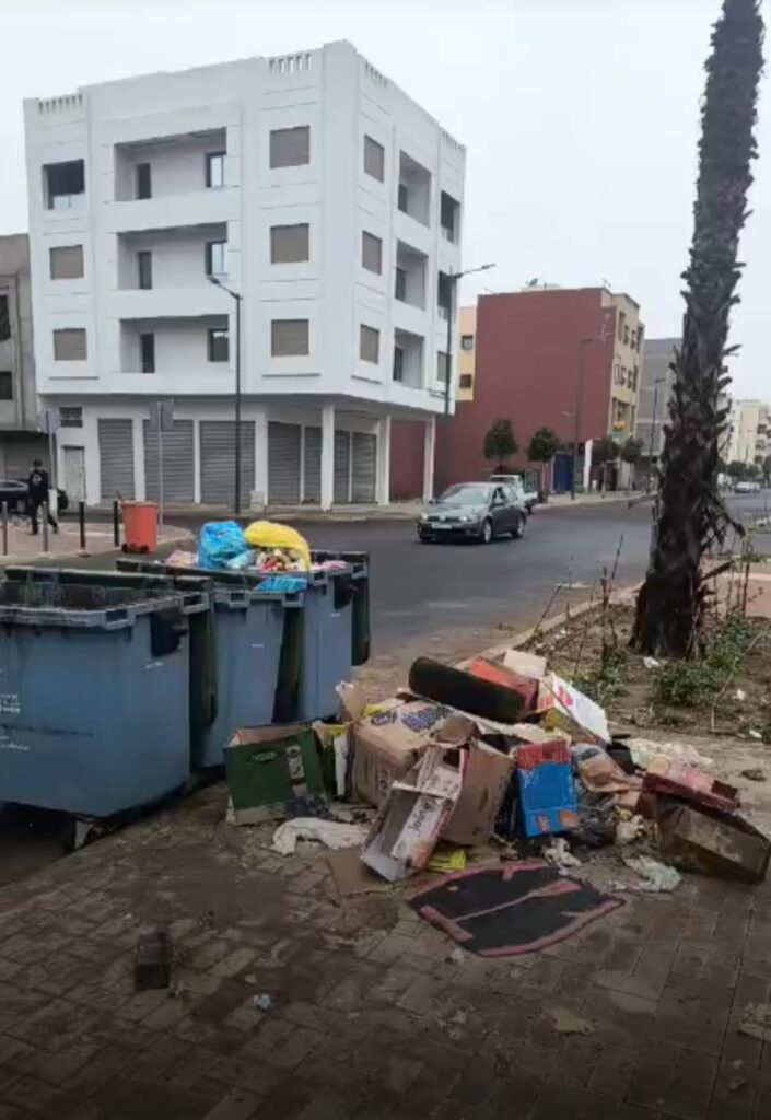 عمال النظافة بتدارت أنزا في مواجهة الرمي العشوائي للنفايات