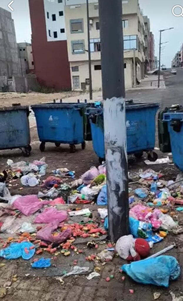 عمال النظافة بتدارت أنزا في مواجهة الرمي العشوائي للنفايات