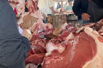 تدخل أمني ينهي نشاطا للذبيحة السرية داخل إسطبل مشبوه - أكادير24