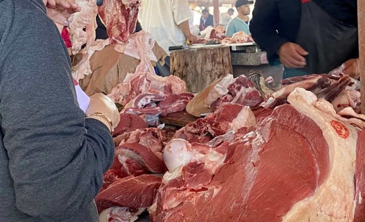 تدخل أمني ينهي نشاطا للذبيحة السرية داخل إسطبل مشبوه - أكادير24