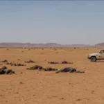 رحلة العودة من العيد تنتهي بمأساة…الصحراء تحصد أرواح 49 مسافراً - أكادير24