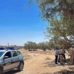 بيوكرى: العثور على شاب ثلاثيني جثة هامدة معلقة بغصن شجرة