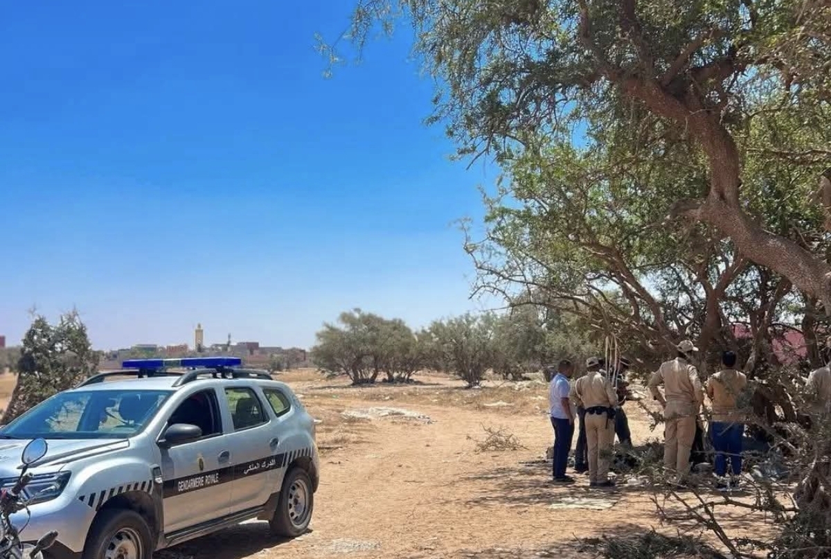 بيوكرى: العثور على شاب ثلاثيني جثة هامدة معلقة بغصن شجرة
