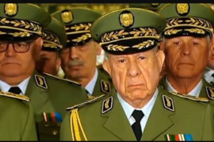 جنرالات التفتيش في الجزائر يلاحقون شهادات ميلاد منتخبنا الوطني