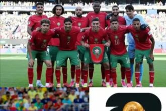 كيف حول "أسود الأطلس" المستحيل إلى هدف مشروع للعرب وإفريقيا