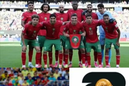 كيف حول "أسود الأطلس" المستحيل إلى هدف مشروع للعرب وإفريقيا
