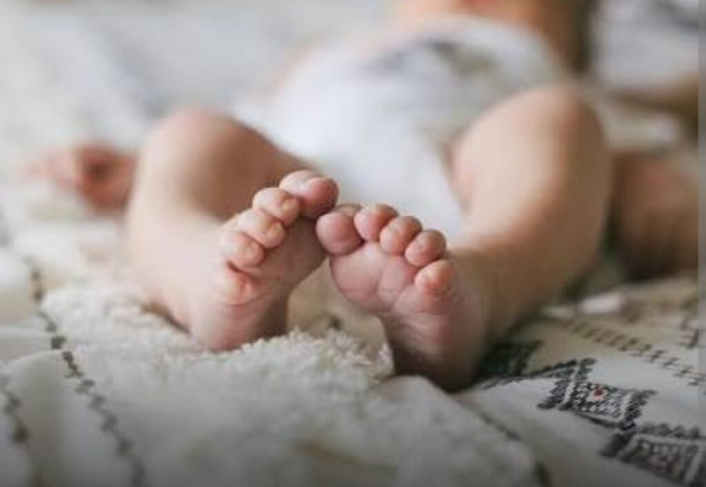 فتح تحقيق في وفاة رضيعة بعد تعرضها لعضة كلب