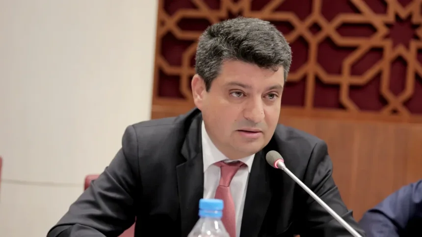 عبد الحافظ أدمينو العضو المنتخب بالمحكمة الدستورية من طرف مجلس المستشارين