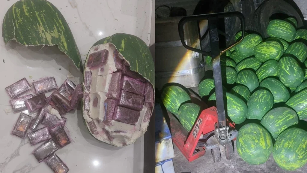 Moules en plastique ressemblant au fruit « pastèque »