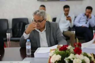 ندير المومني المعين عضواً جديداً بالمجلس الأعلى للسلطة القضائية