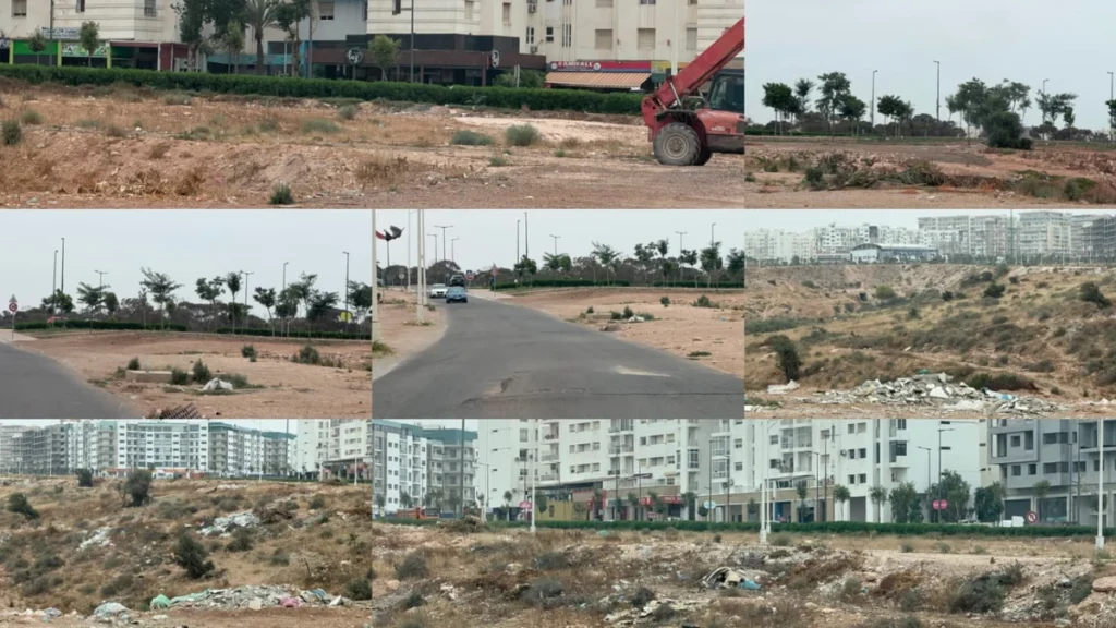 سكان تمديد إليغ بأكادير يشتكون تدهور الطرق والإنارة وانتشار الكلاب الضالة