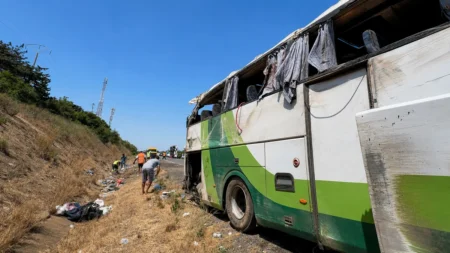 bus