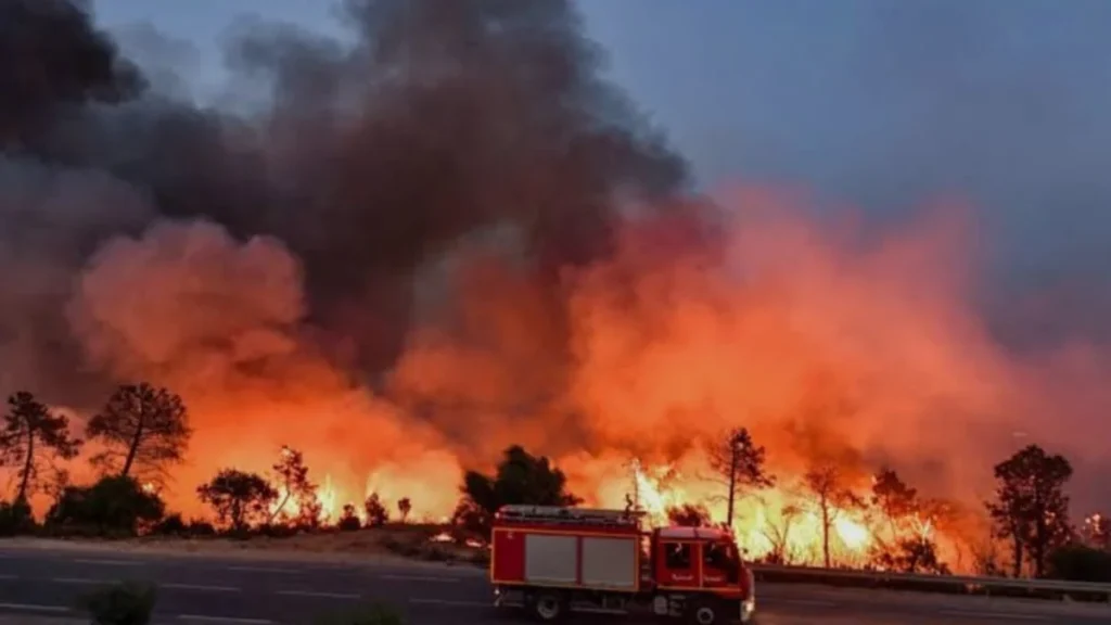 Incendies en Algérie