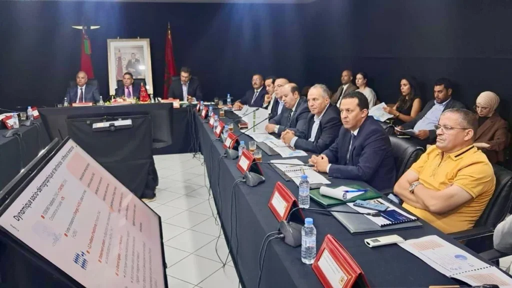 Réunion du comité de pilotage (3)