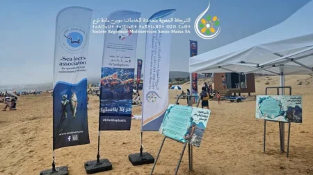 srm-sm